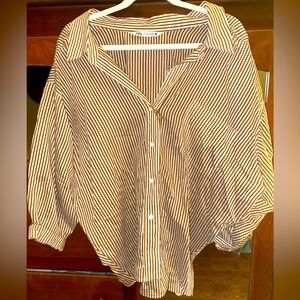 ZARA Button Down Top